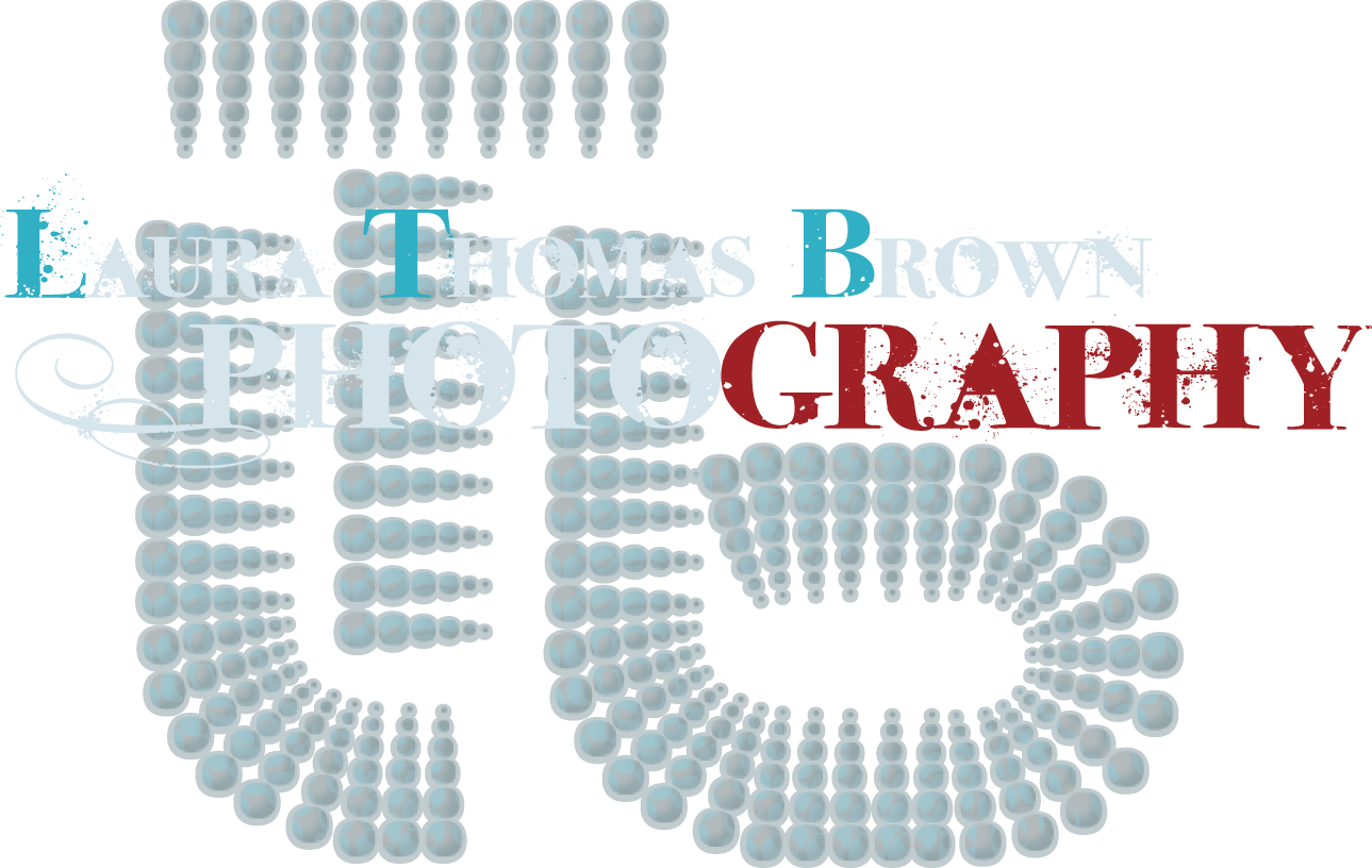 Laura Thomas Brown Photography logo